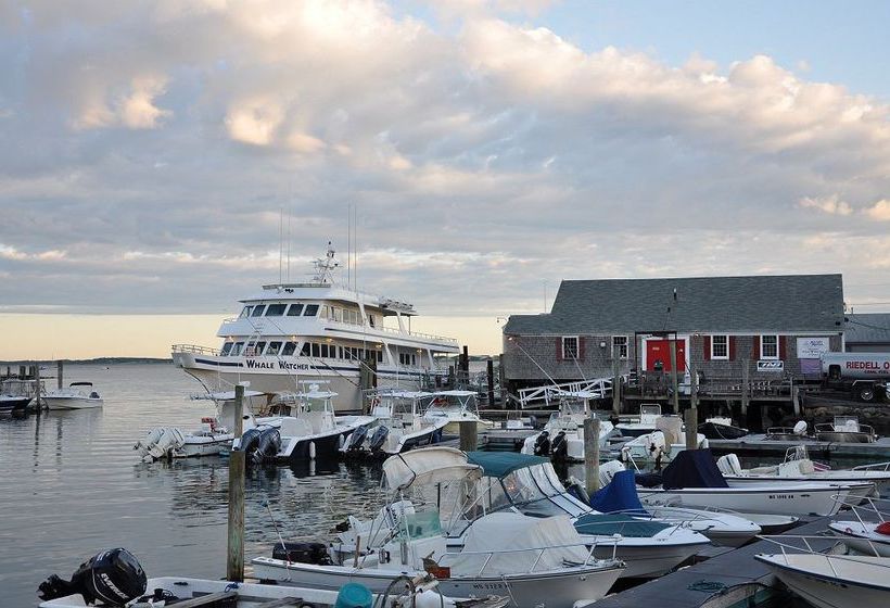 ベッドアンドブレックファースト Honeysuckle Hill Inn