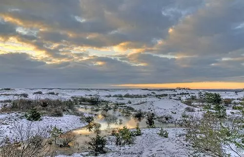 住宿加早餐 Honeysuckle Hill Inn
