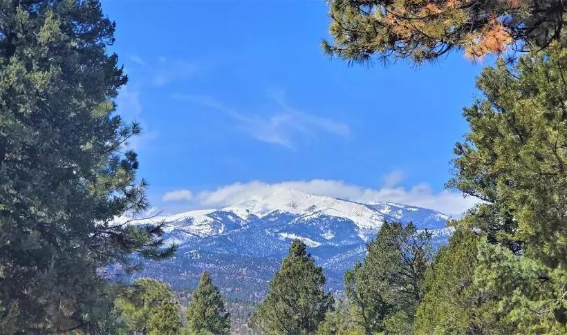 Hotel High Sierra Condominiums