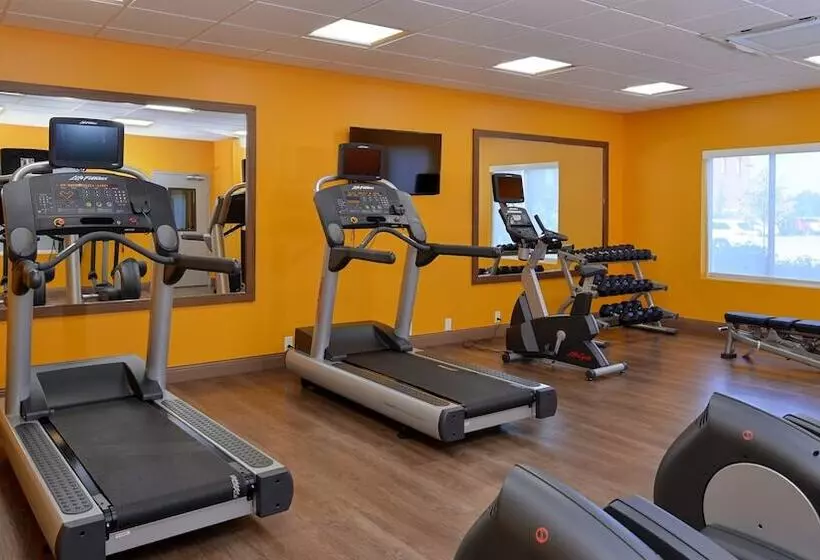 ホテル Holiday Inn Express & Suites Lexington Midtown   I 75, An Ihg