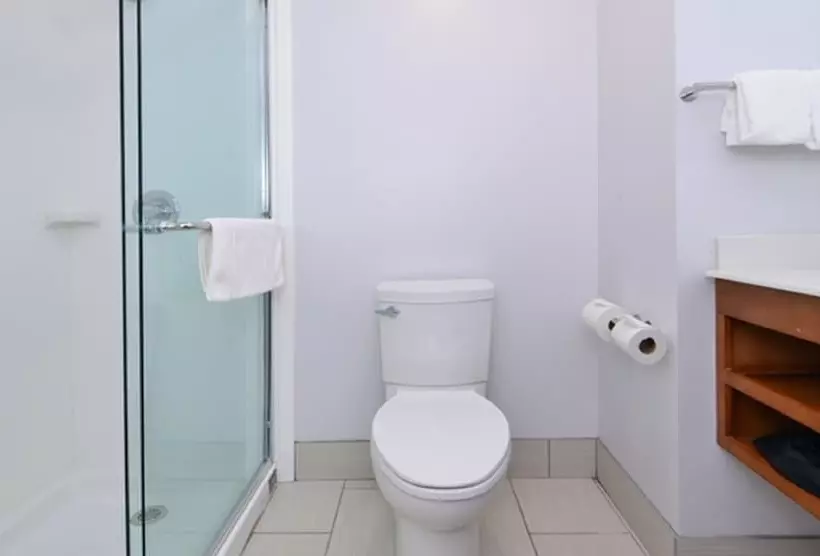 ホテル Holiday Inn Express & Suites Lexington Midtown   I 75, An Ihg