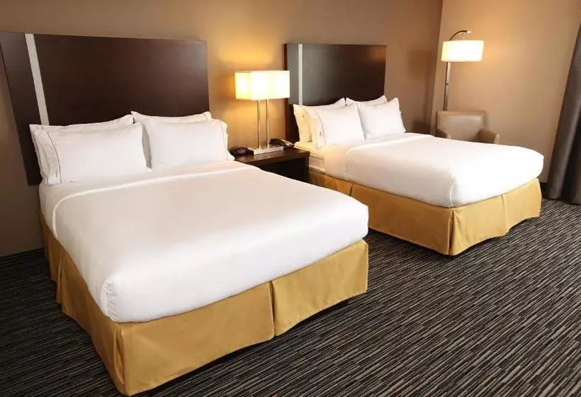 酒店 Holiday Inn Express & Suites Omaha South Ralston Arena, An Ihg