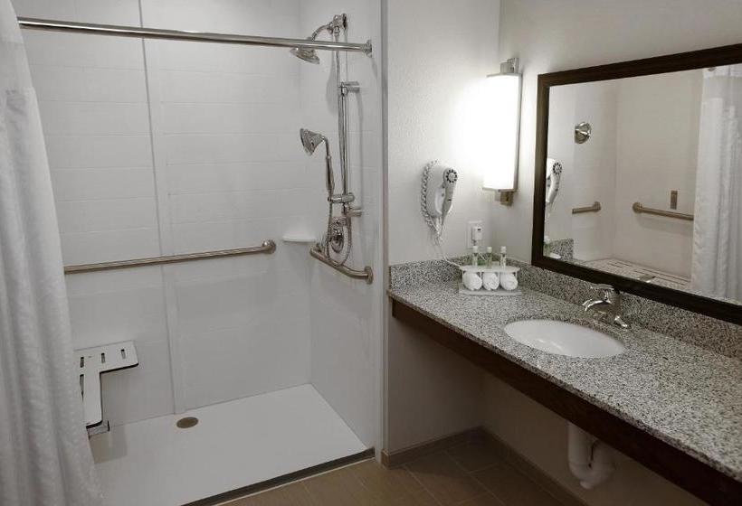 酒店 Holiday Inn Express & Suites Omaha South Ralston Arena, An Ihg