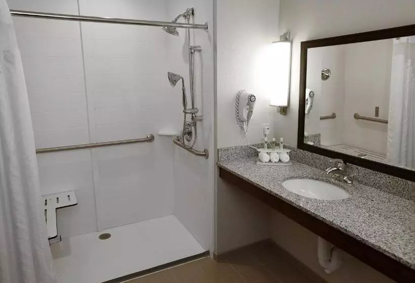 酒店 Holiday Inn Express & Suites Omaha South Ralston Arena, An Ihg