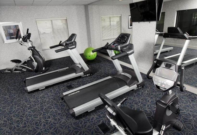 酒店 Holiday Inn Express & Suites Omaha South Ralston Arena, An Ihg