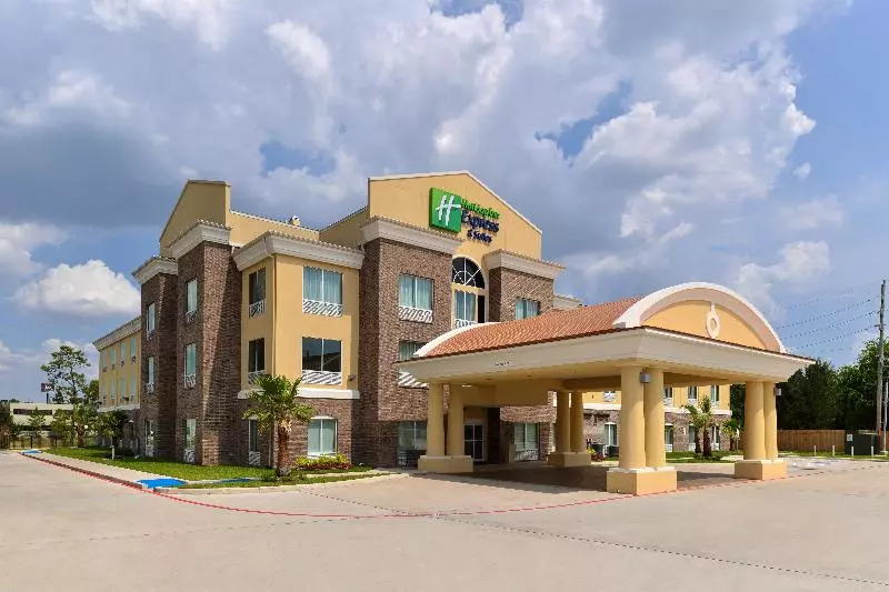 ホテル Holiday Inn Express Tomball, An Ihg