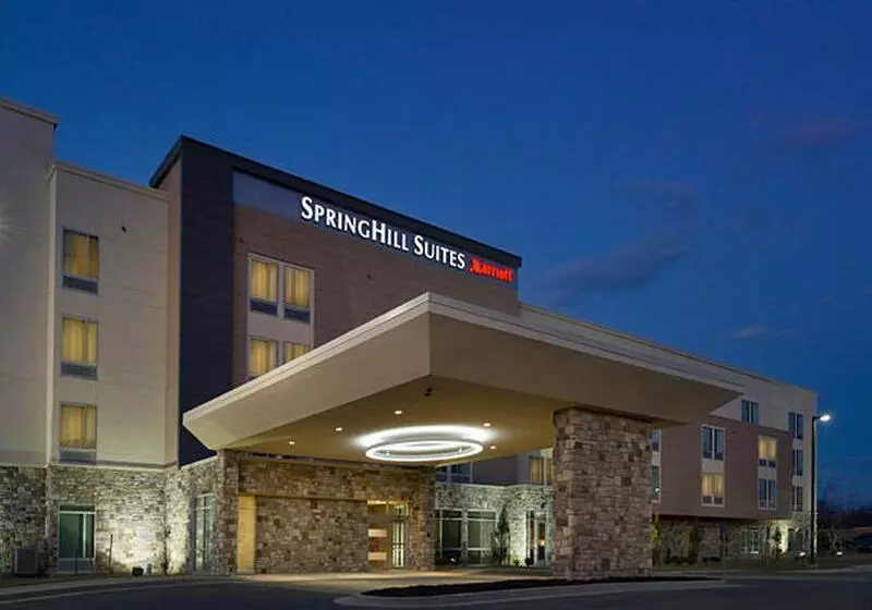 Otel Springhill Suites By Marriott Bridgeport Clarksburg