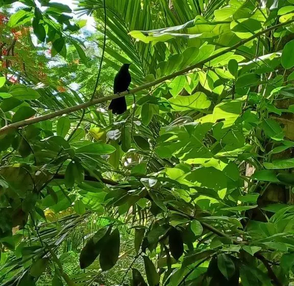 호텔 Xanadu Island Resort