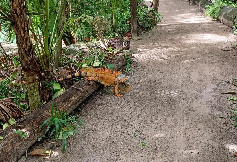בית מלון כפרי Xanadu Island Resort