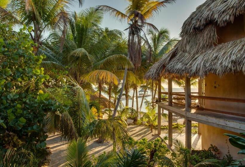 בית מלון כפרי Xanadu Island Resort