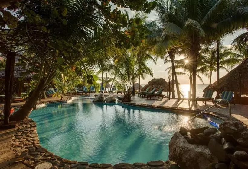 호텔 Xanadu Island Resort