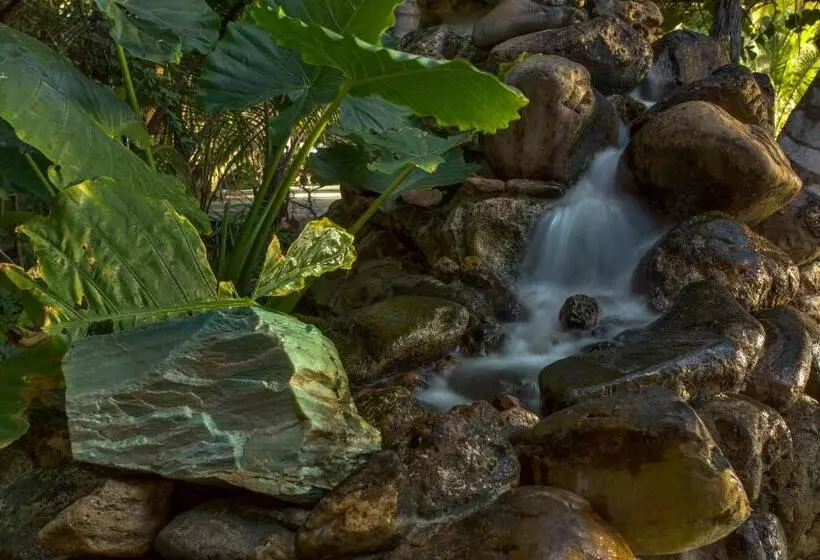 호텔 Xanadu Island Resort