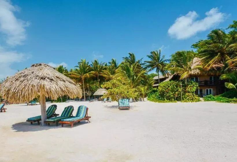 호텔 Xanadu Island Resort