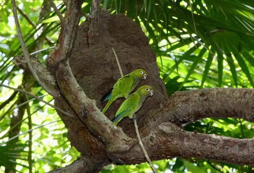 호텔 Xanadu Island Resort