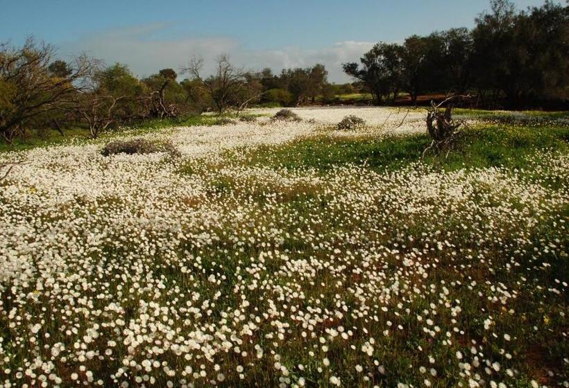 Kalbarri Seafront Villas