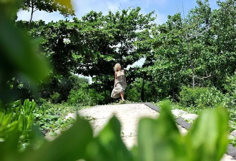 ホテル Bali Relaxing Resort And Spa