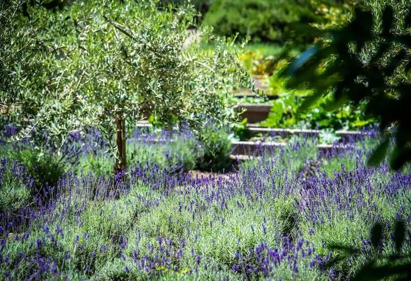 هتل Hôtel Bon Rivage