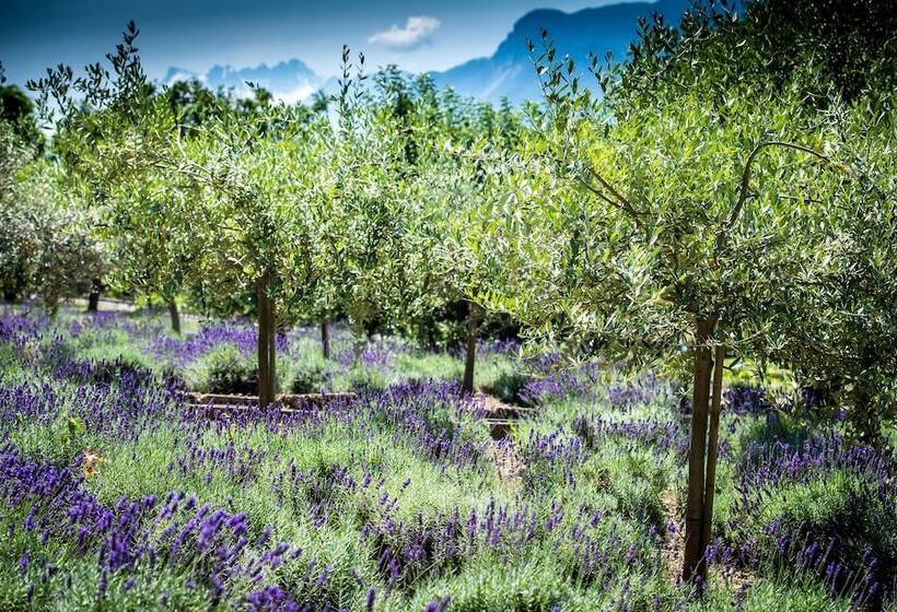 ホテル Hôtel Bon Rivage