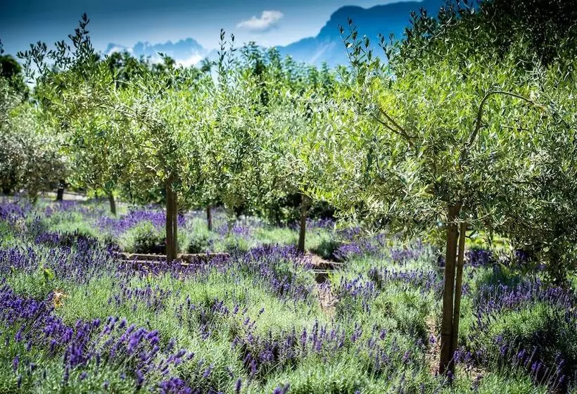 هتل Hôtel Bon Rivage