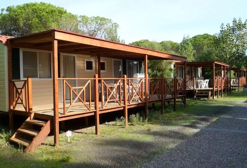 酒店 New Camping Le Tamerici