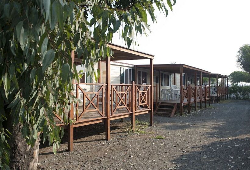 ホテル New Camping Le Tamerici