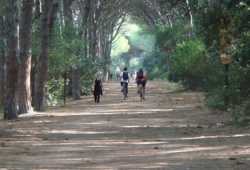 ホテル New Camping Le Tamerici