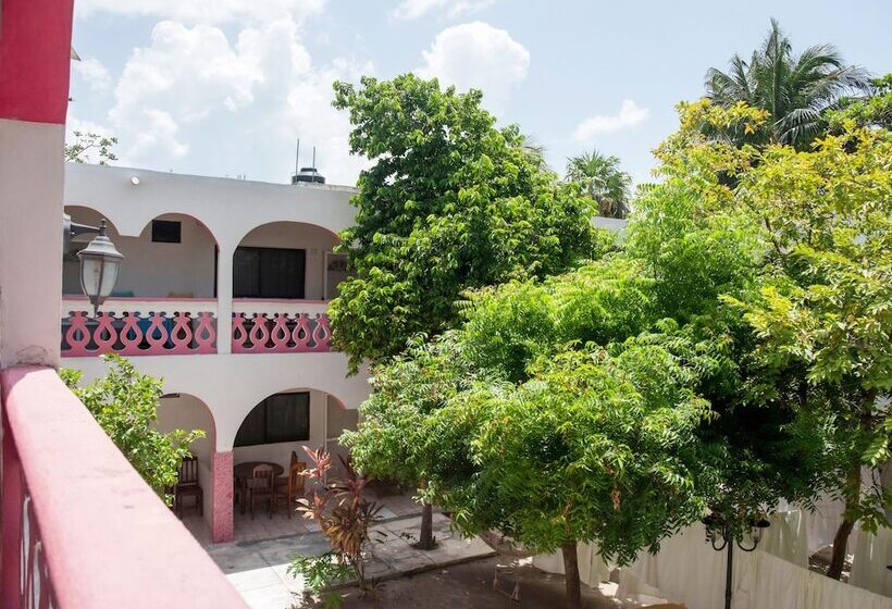 Szálloda Los Arcos Holbox