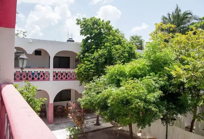 호텔 Los Arcos Holbox