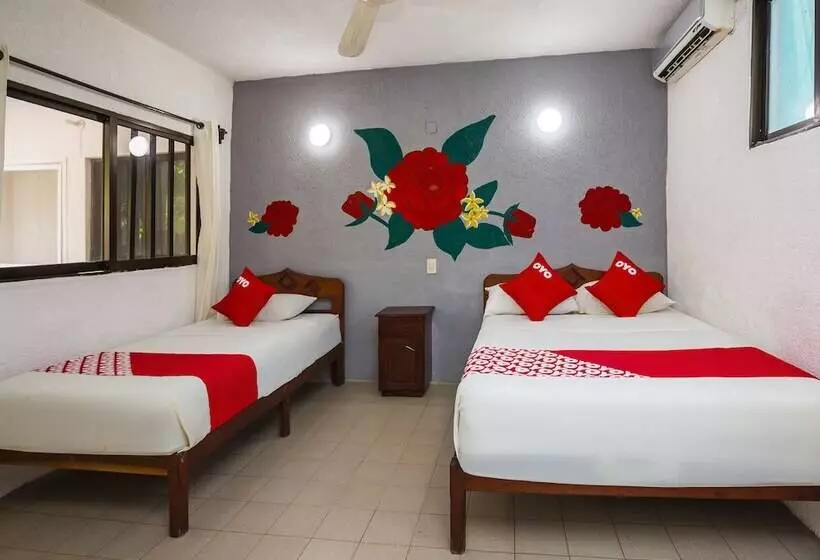 호텔 Los Arcos Holbox