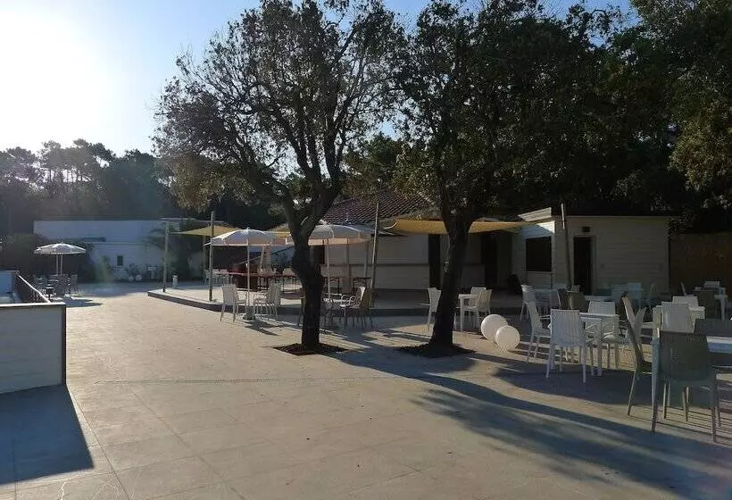 ホテル Paradù Ecovillage & Resort