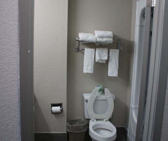 汽车旅馆  Days Inn By Wyndham Waco University Area