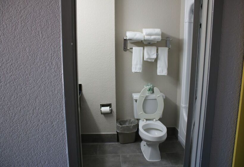 汽车旅馆  Days Inn By Wyndham Waco University Area