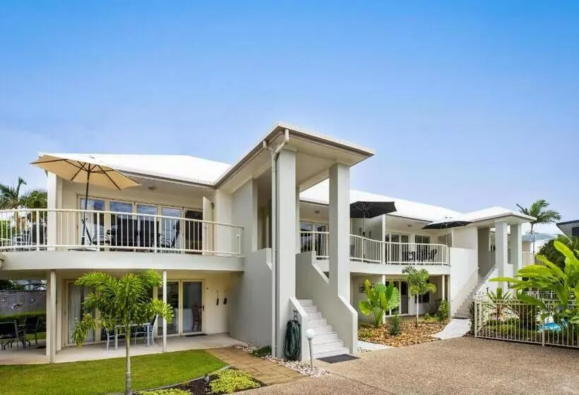 Noosa River Palms