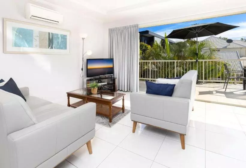 Noosa River Palms