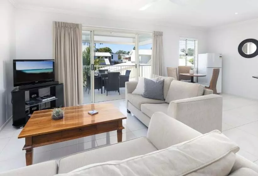 Noosa River Palms