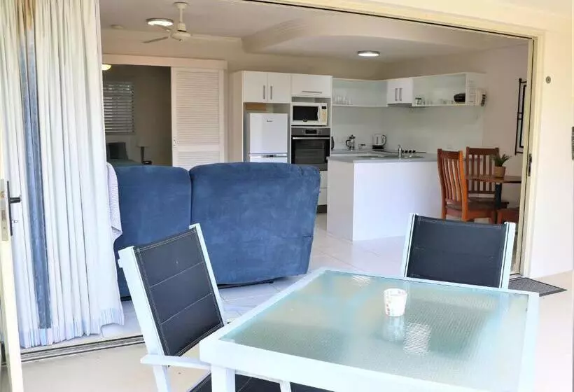 Noosa River Palms
