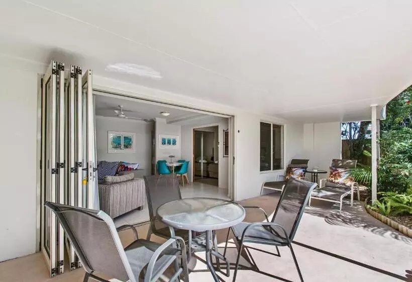Noosa River Palms