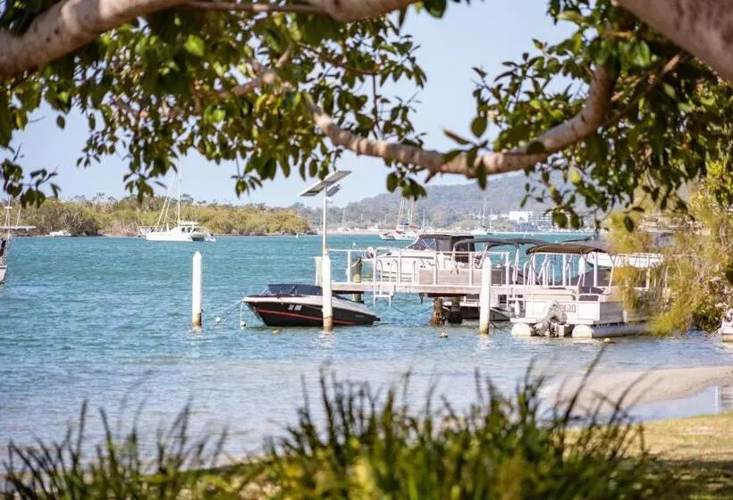 Noosa River Palms