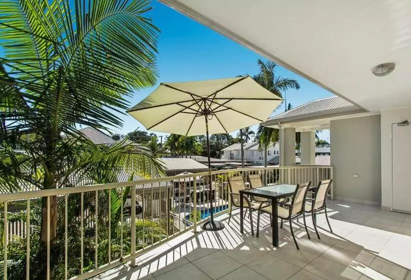 Noosa River Palms