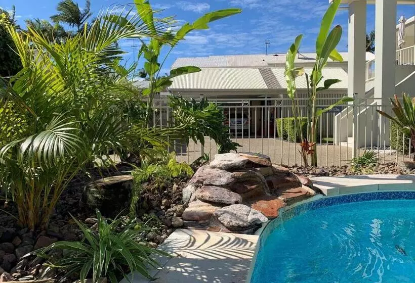 Noosa River Palms