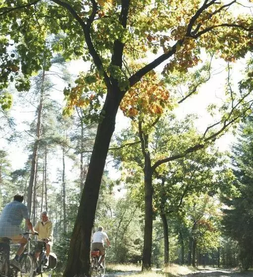 호스텔 Harba Lorifa