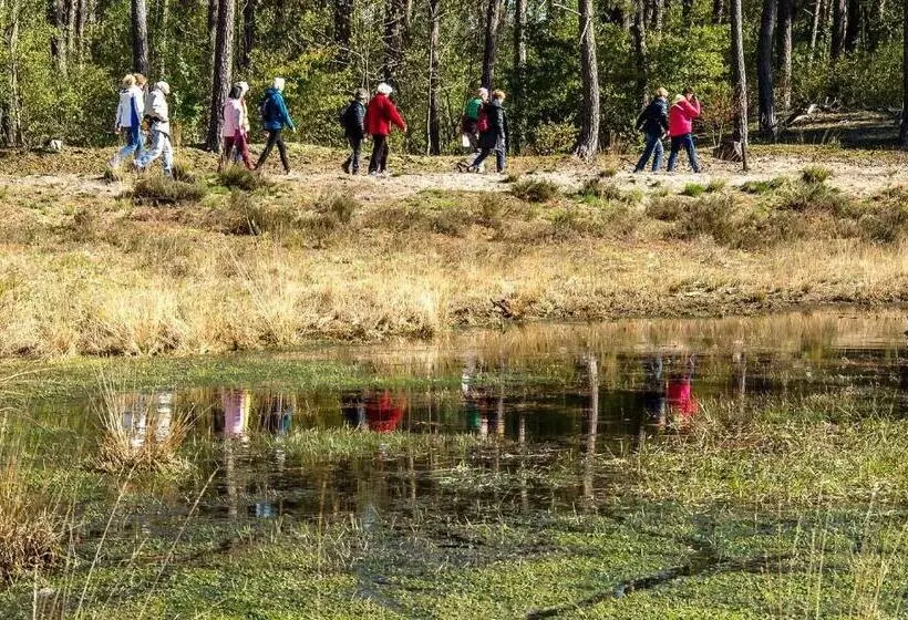 호스텔 Harba Lorifa