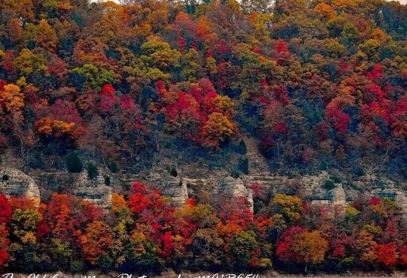 ベッドアンドブレックファースト Green Tree Inn