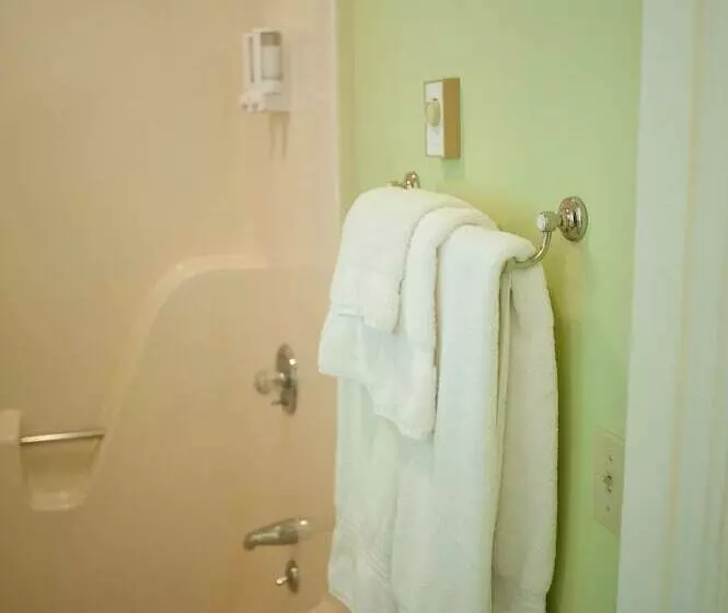 ベッドアンドブレックファースト Green Tree Inn