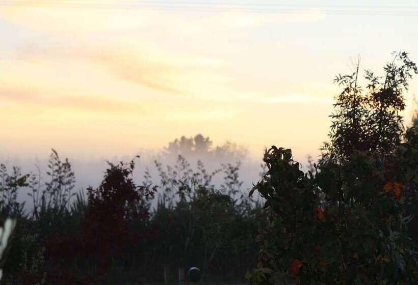 Bed and Breakfast The Summit Lodge