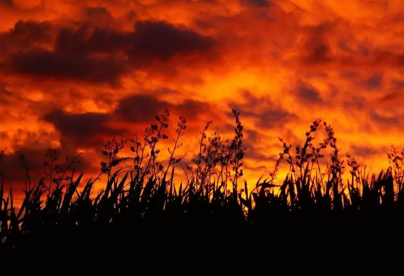 住宿加早餐 The Summit Lodge