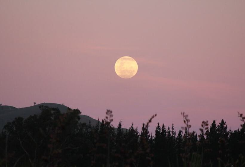 Bed and Breakfast The Summit Lodge