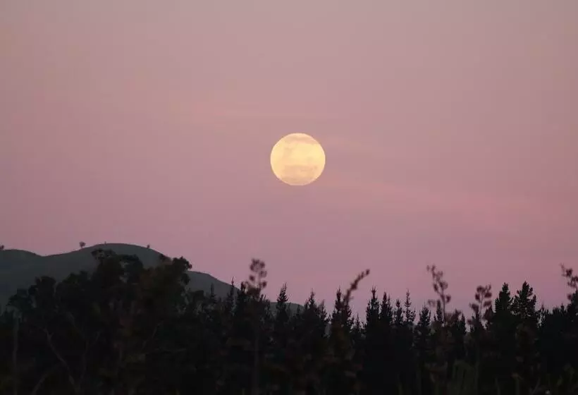 住宿加早餐 The Summit Lodge