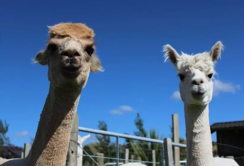 住宿加早餐 The Summit Lodge