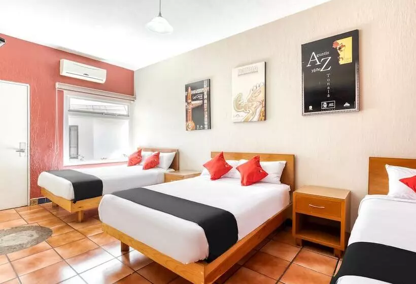 Отель Arana Tonalá